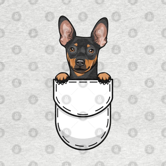 Miniature Pinscher Pocket Dog by Pet My Dog